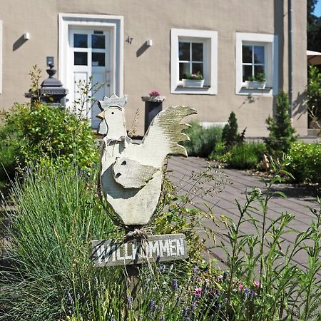 Ferienhaus Eifel 1851 Gipperath Exterior foto